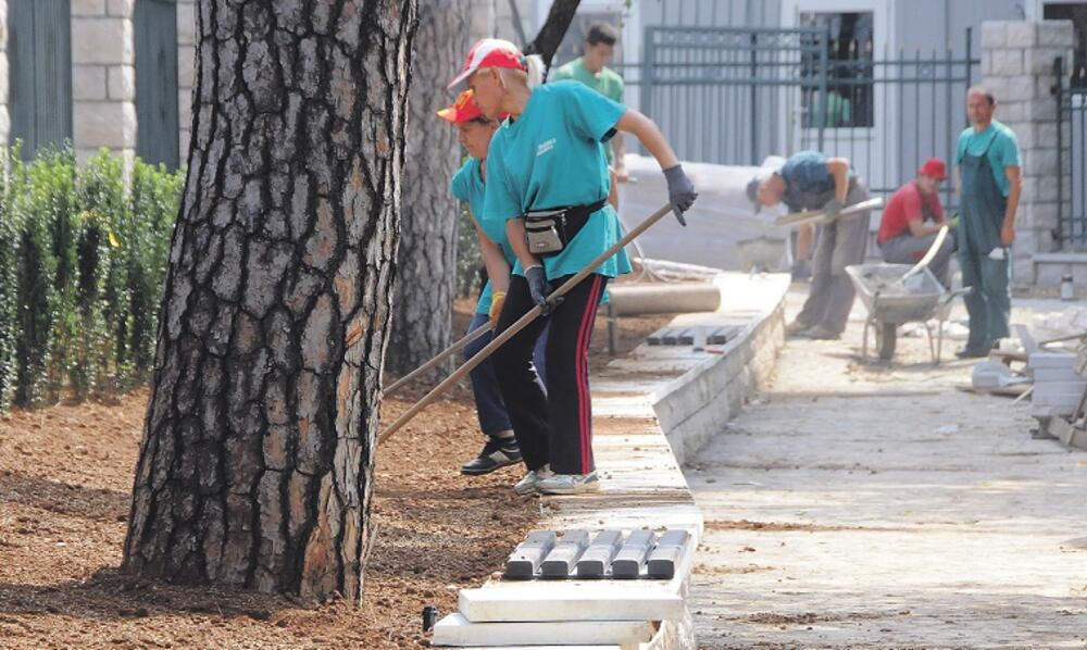 spomenik Božidaru Vukoviću - Podgoričaninu, Kraljev park