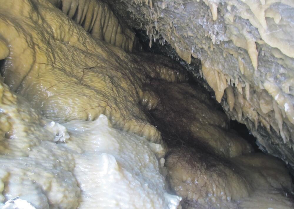 Pećina, Pavino polje