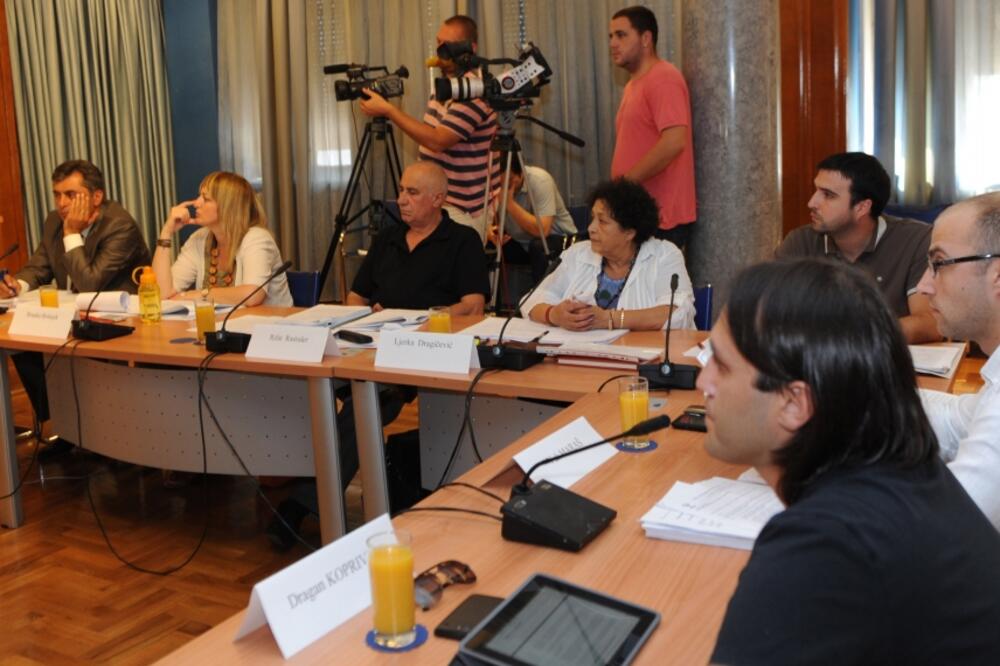 Radna grupa - izborni proces, Foto: Savo Prelević
