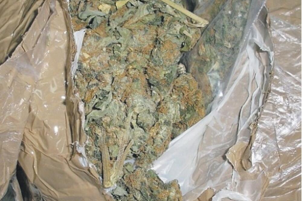 Marihuana, Foto: Uprava policije