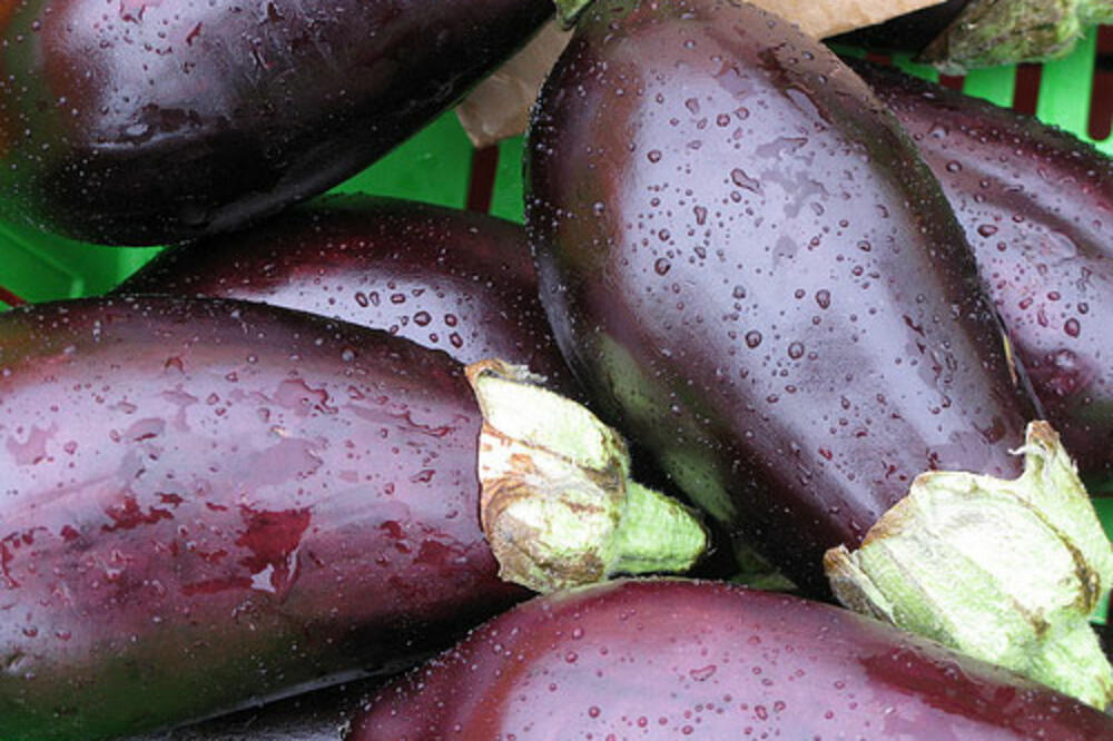 patlidžan, Foto: Thegoodfoodcollective.com