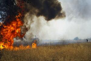 Podgorica: Ugašen požar u Donjoj Gorici