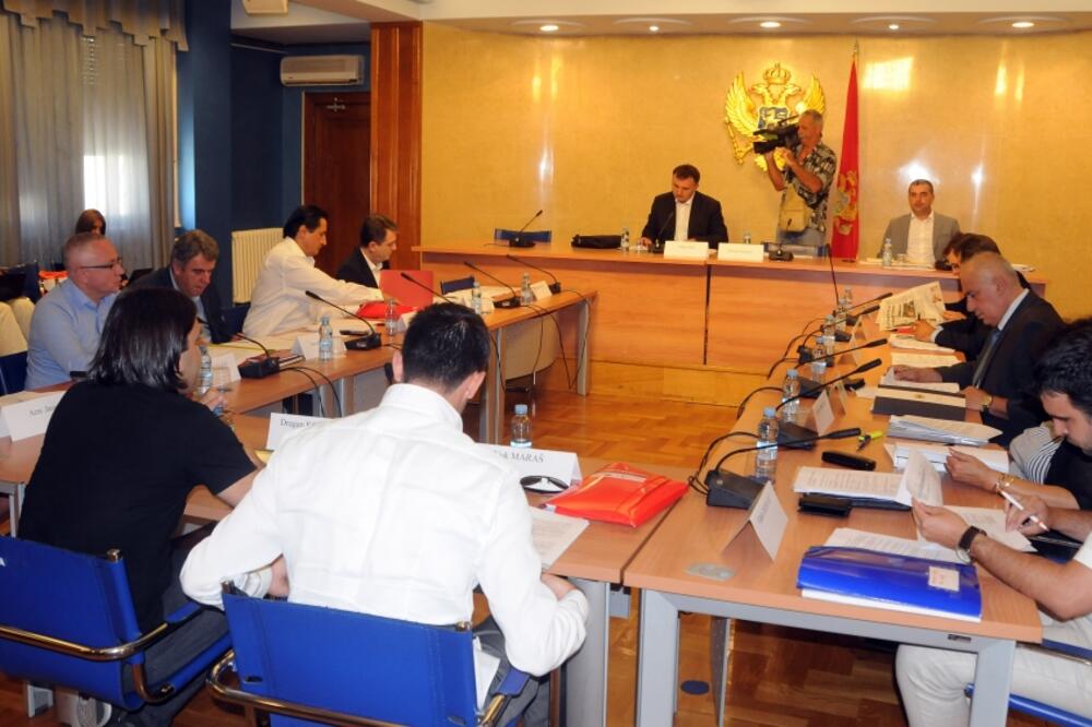 Radna grupa - izborni proces, Foto: Boris Pejović