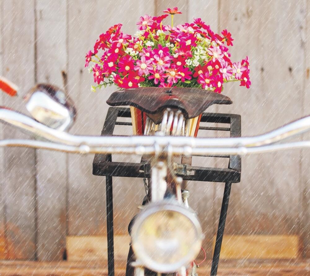 bicikl, cvijeće