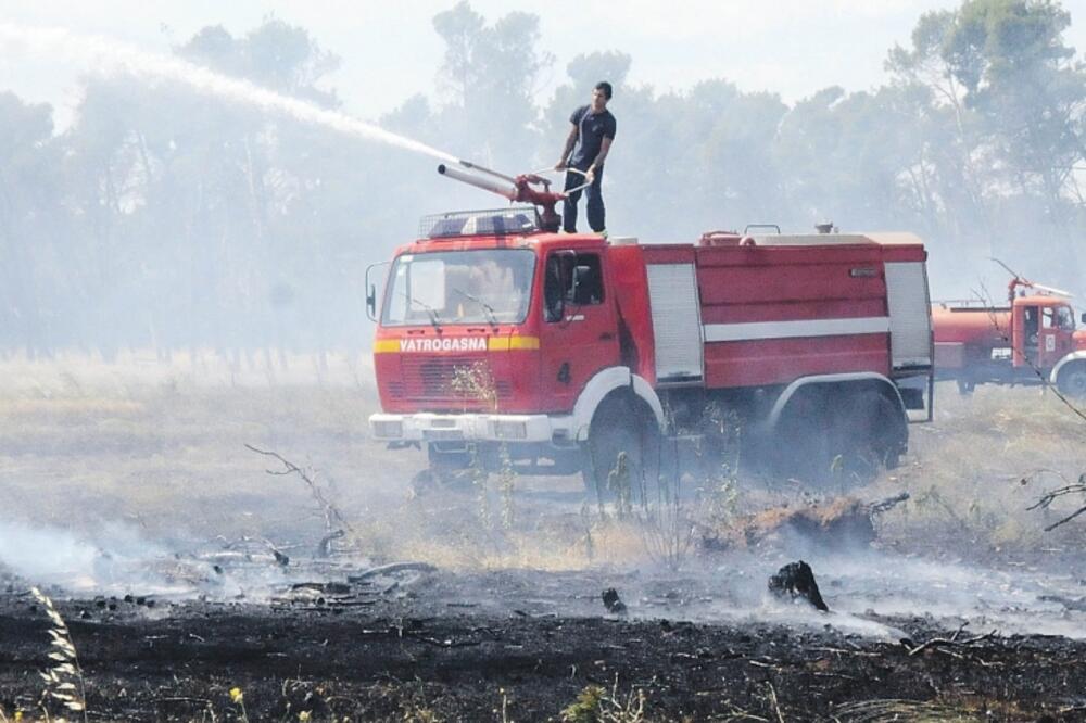 Požar na Zlatici, jul 2013., Foto: Luka Zeković