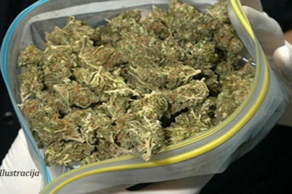 Marihuana, Foto: Ilustracija