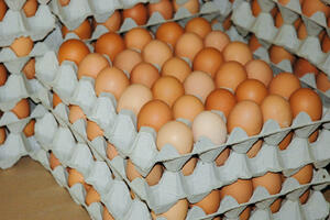 Francuski uzgajivači živine razbili 100.000 jaja
