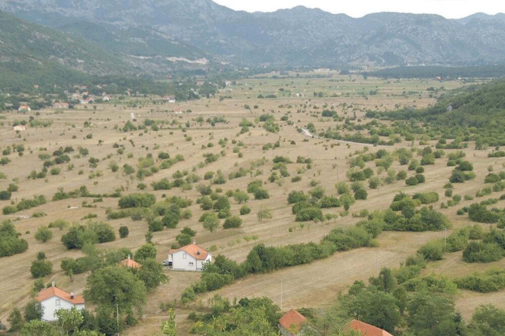 Grahovo polje, Foto: Zoran Đurić
