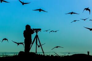 Posmatranje ptica: Konkurs za obuku turističkih vodiča