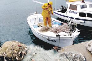 Crna Gora može duplirati prihode od ribarstva