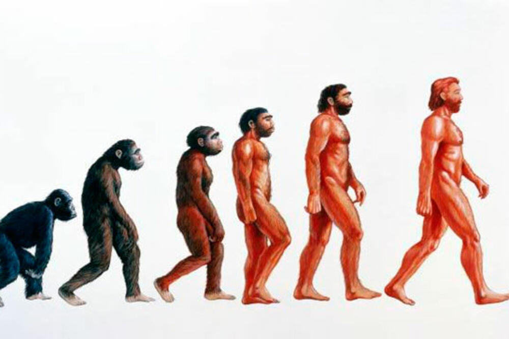 evolucija, Foto: Badarcheology.wordpress.com