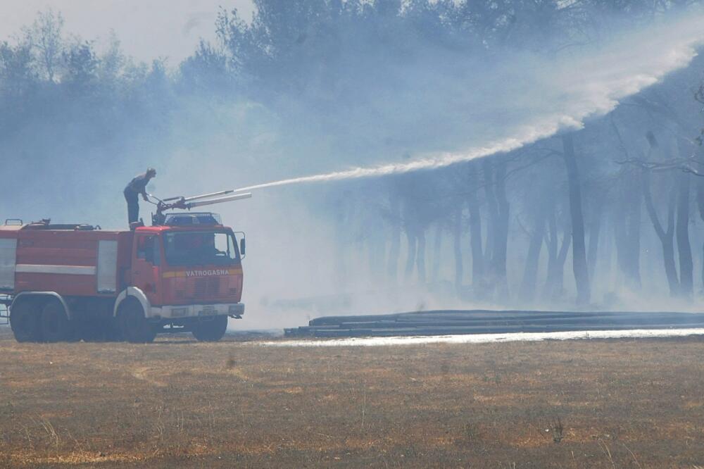 Ćemovsko polje požar, Foto: Zoran Đurić
