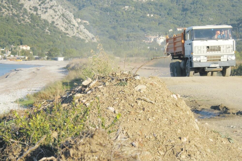 Bulajarica, Foto: Vuk Lajović