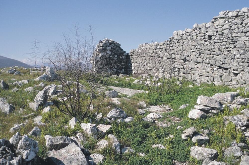 Oblun, Foto: Slobodan Čukić