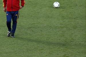 Del Boske želi da podmladi reprezentaciju Španije