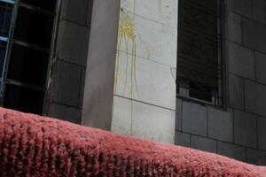 Aktivisti kažnjeni sa po 200 eura zbog gađanja jajima