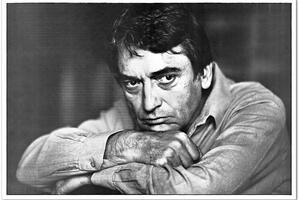 Umro TV autor Dragan Babić