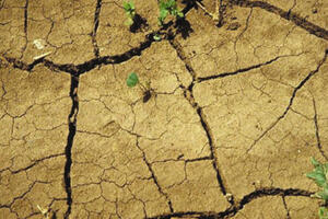 U Kini zbog suše skoro 400.000 ljudi bez vode