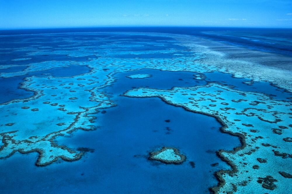 Veliki koralni greben, Foto: Wickedtravel.com.au