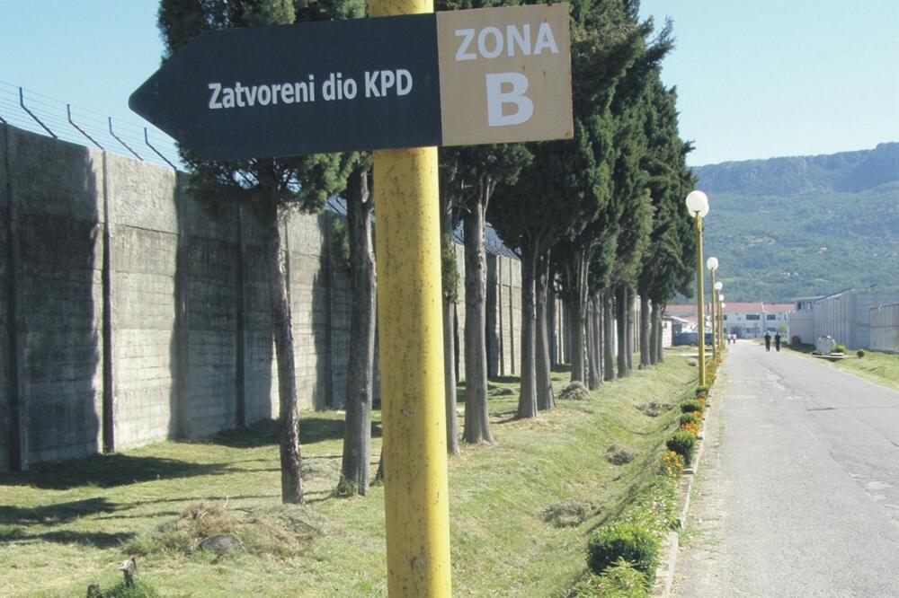 ZIKS, Foto: Jelena Jovanović