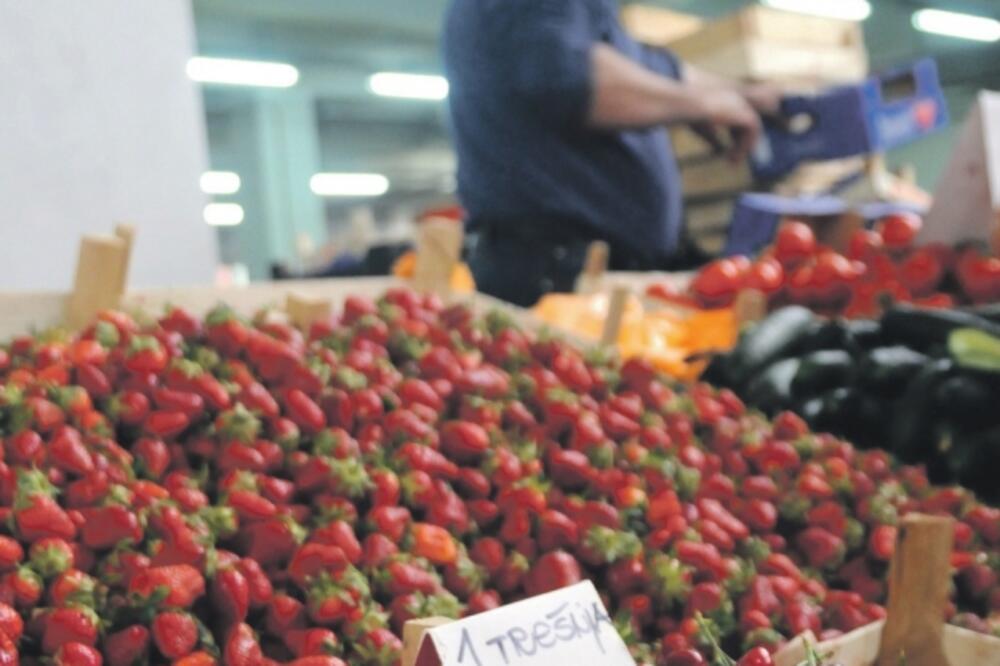 trešnje, Foto: Boris Pejović