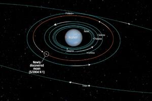 Otkriven novi Neptunov mjesec