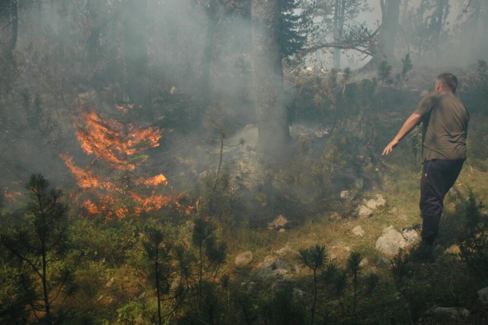 požar u Župi, Foto: Ivan Petrušić