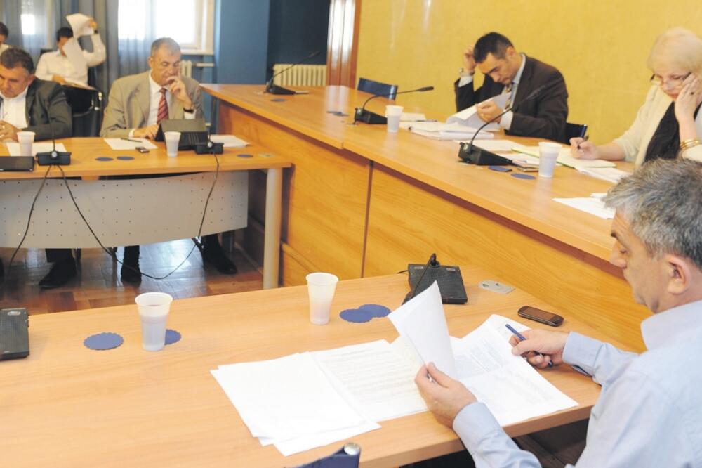 Odbor za ekonomiju, Foto: Savo Prelević