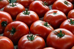 Argentinska vlada pozvala Argentince da jedu manje paradajza