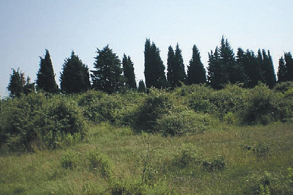 Briska Gora, Foto: Soho-group.me