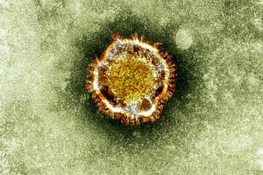 Novi virus, Foto: Beta