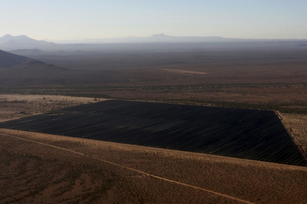 marihuana Meksiko, Foto: Rojters