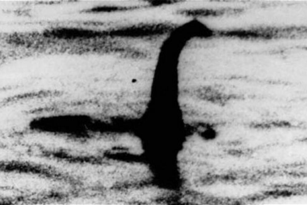 Čudovište iz Loh Nesa, Foto: Telegraph