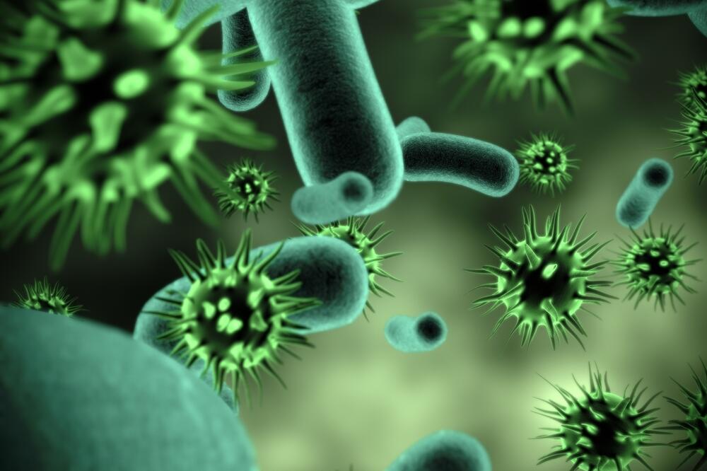 Mikrobi, Foto: Shutterstock