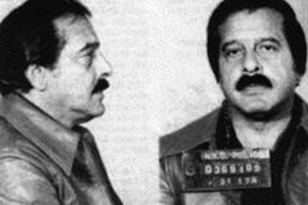 Gregori Skarpa, Foto: Blic