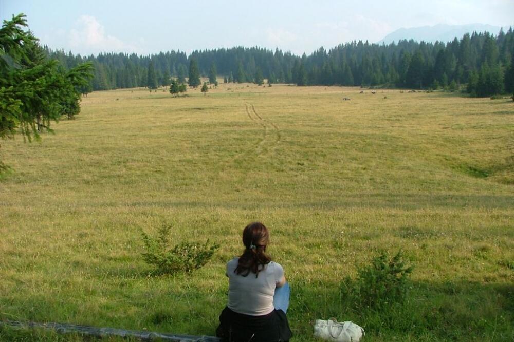 žabljak, durmitor, turisti, Foto: Obrad Pješivac