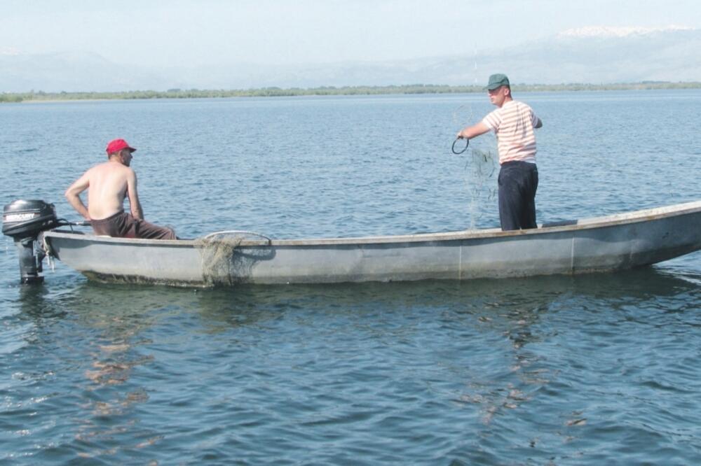 Skadarsko jezero krivolov, Foto: Slavko Radulović