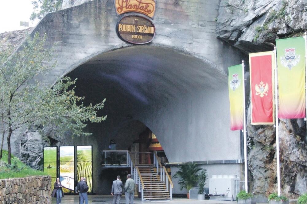 Šipčanik, Plantaže, Foto: Foto "Vijesti"