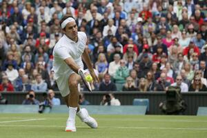 Federeru dovoljno 68 minuta za Haneskua