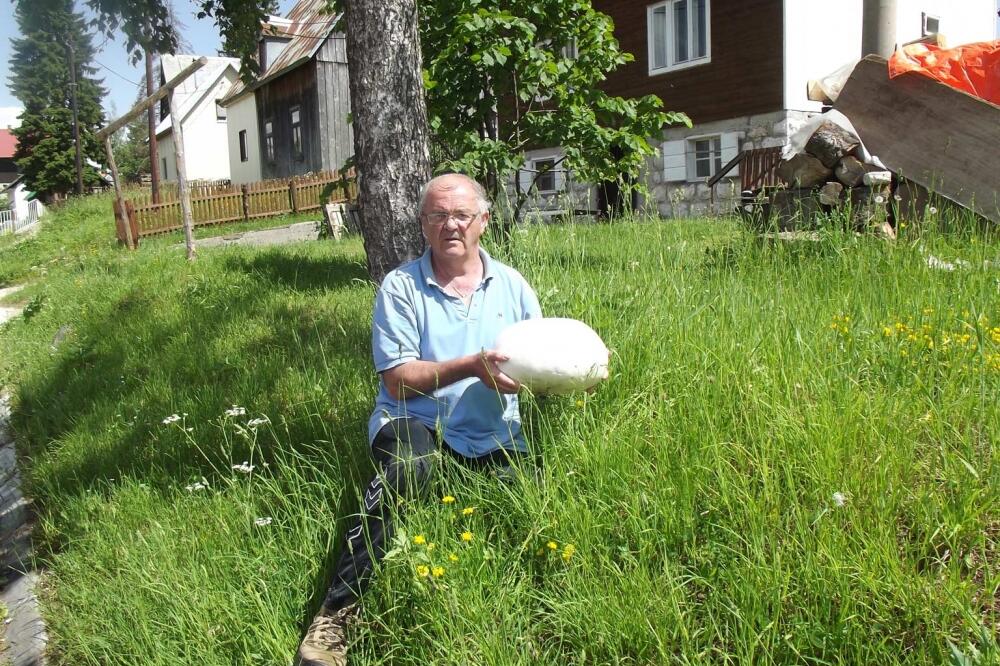 Vladimir Maričić, puhara, Foto: Obrad Pješivac