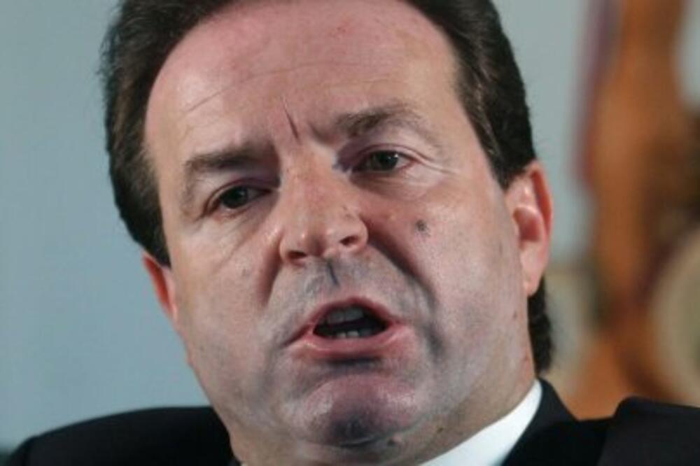 Bogoljub Karić, Foto: Blic