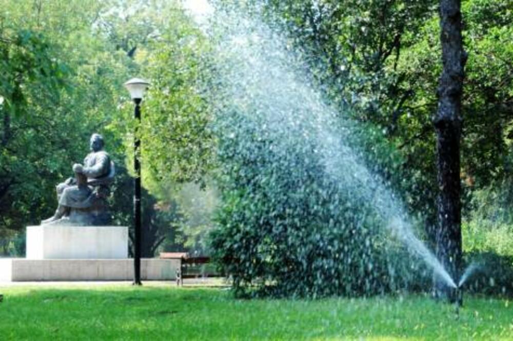 Vrućine, Foto: Luka Zeković