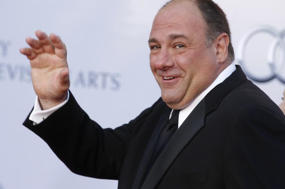 Džejms Gandolfini, Foto: Reuters