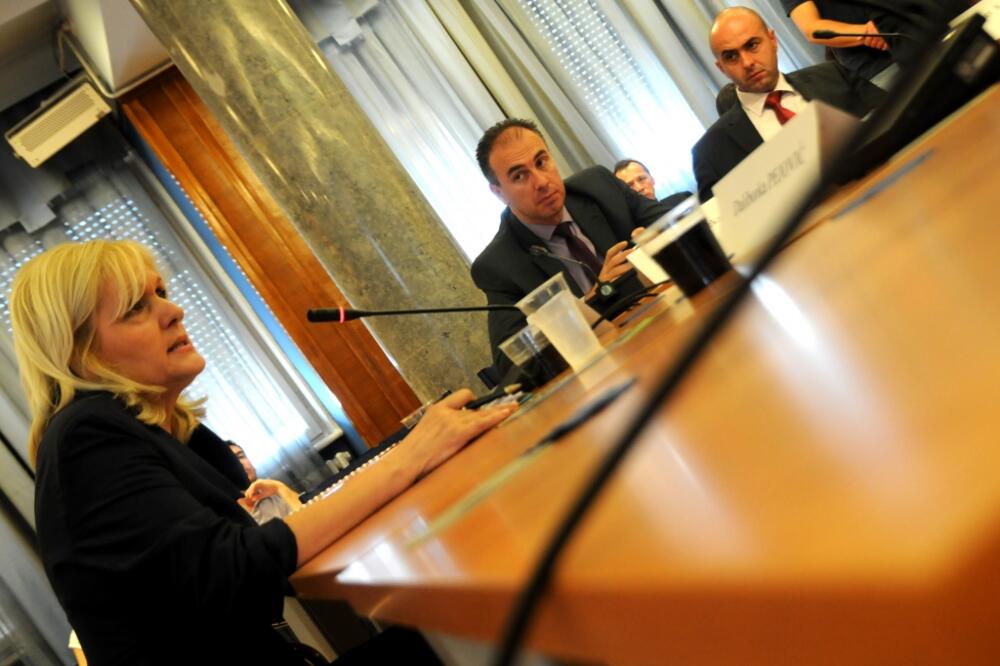 Anketni odbor, Vukica Jelić, Foto: Boris Pejović