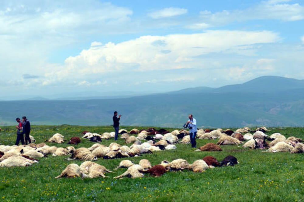 ovce, Turska, udar groma, Foto: Anadolija