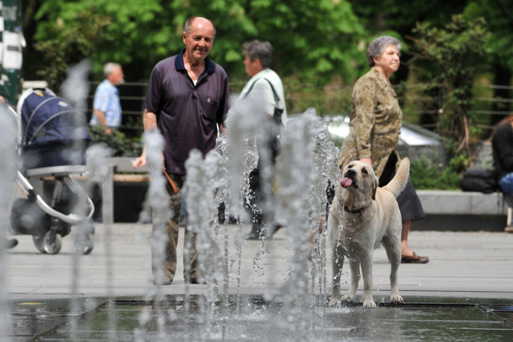 vrućine, Foto: Anadolija