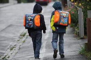 Bijela djeca manjinska u SAD