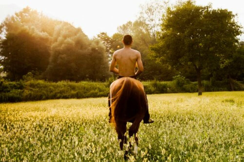 zivotinja, Foto: Preciousjules1985.wordpress.com