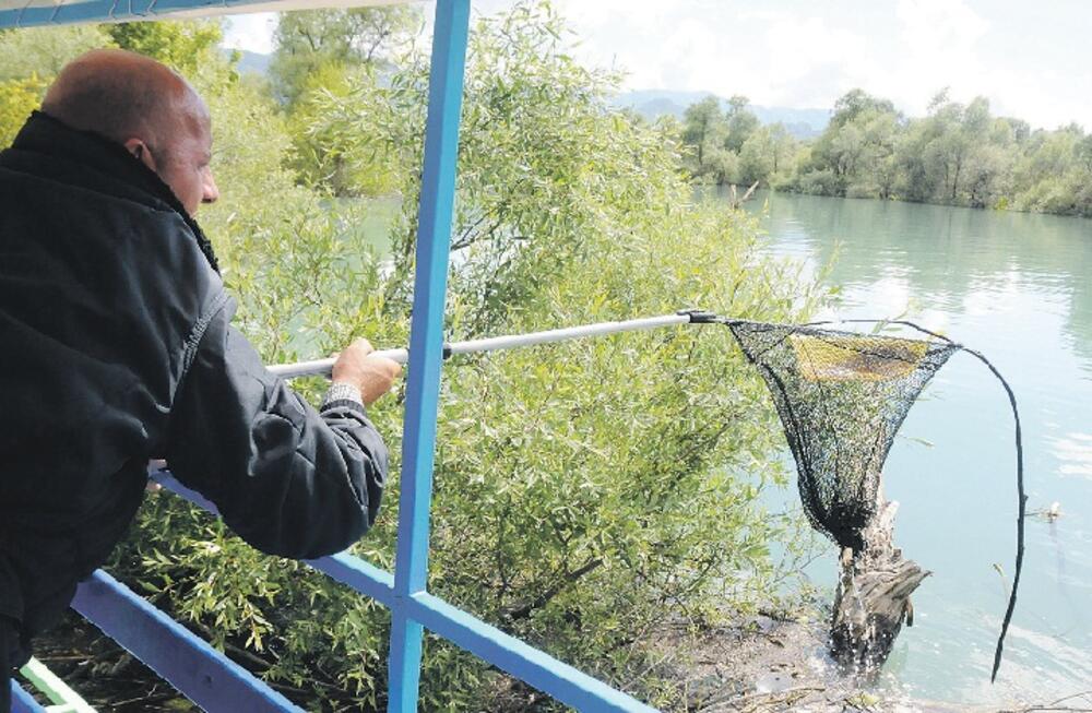 smeće, Skadarsko jezero