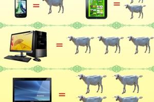 Kina: Ovca za smartfon